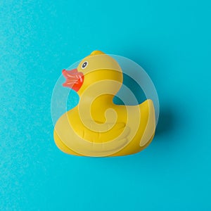 Yellow rubber duck on blue background. Summer minimal concept