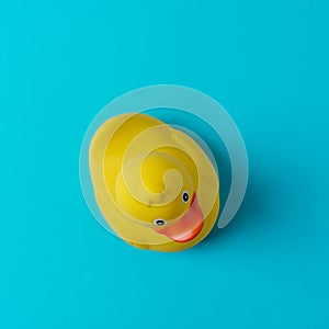 Yellow rubber duck on blue background. Summer minimal concept