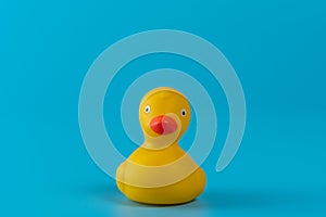 Yellow rubber duck on blue background. Summer minimal concept