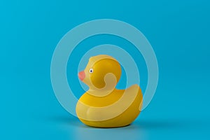 Yellow rubber duck on blue background. Summer minimal concept