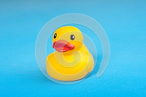 Yellow rubber duck on blue background water