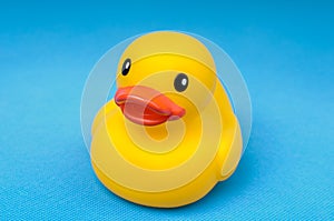 Yellow rubber duck on blue background water