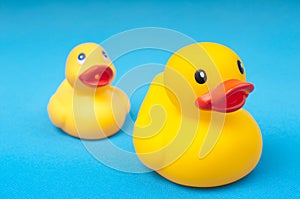 Yellow rubber duck on blue background water