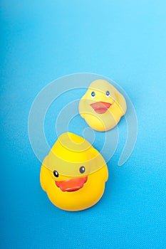 Yellow rubber duck on blue background water