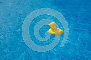 Yellow rubber duck in blue swimming pool