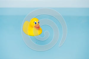 Yellow rubber duck in blue water of bathtub