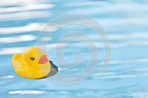 Yellow Rubber duck float in a water