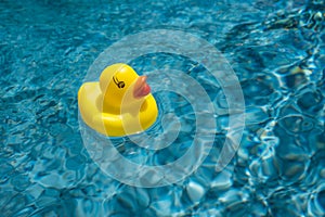 Yellow Rubber Duck Floating in Blue Water in a Swimming Pool