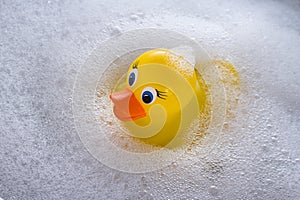 Yellow rubber duck floating in soap suds photo
