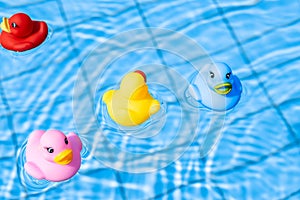 Yellow rubber duck. Funny kids inflatable pink, red and blue toy float in water of summer pool. Funny bird toy for kids