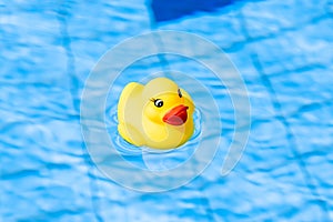 Yellow rubber duck. Funny kids inflatable toy float in blue water of summer pool. Funny bird toy for kids