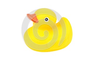Yellow rubber duck isoated on white background