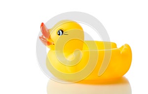 Yellow rubber duck isolate