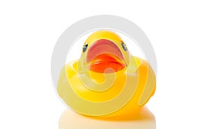 Yellow rubber duck isolate