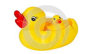 Yellow rubber duck. Isolate on a white background.