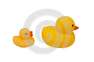 Yellow rubber duck isolated(big and small duck)