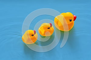 Yellow rubber duck mother leading her babies on blue background.