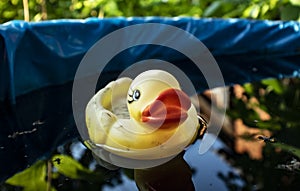 Yellow rubber duck-a toy floating in the water. Children`s games