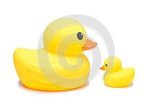 Yellow rubber duck toy in isolate white background