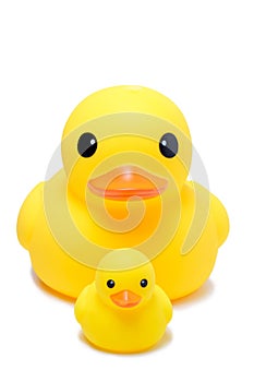 Yellow rubber duck toy in isolate white background