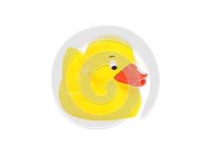 Yellow rubber duck toy isolated