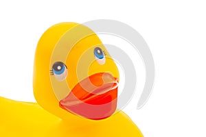 Yellow rubber duck on white background isolated