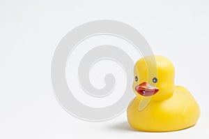 Yellow rubber duckie photo