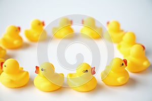 Yellow rubber duckies photo