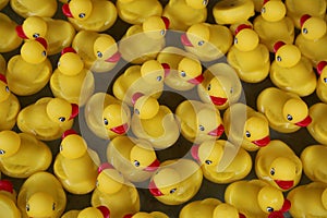 Yellow Rubber Duckies