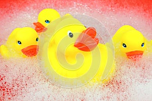 Yellow rubber duckies
