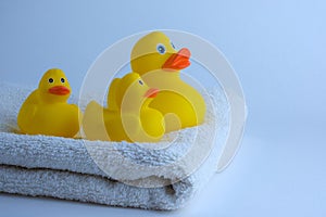 Yellow rubber ducklings on white terry towel early morning in bathroom
