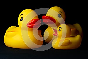 Yellow Rubber Ducks