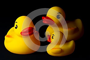 Yellow Rubber Ducks