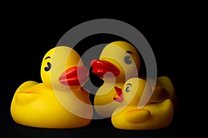 Yellow Rubber Ducks