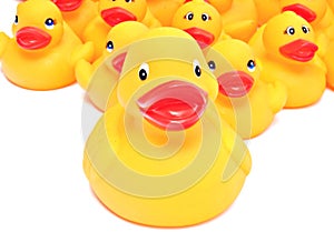 Yellow rubber ducks photo