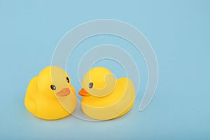 Yellow rubber ducks on blue background