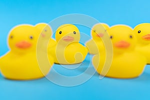 yellow rubber ducks on a blue background. Minimal design. selective focus