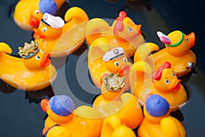 Yellow rubber ducks in the kiddie pool