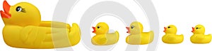 Yellow rubber ducks on White Background