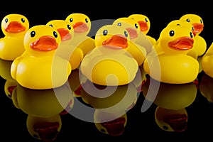 Yellow Rubber Ducks in Rows