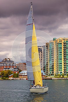 Yellow sail boat in the marina of Kingston, Ontario, Canada photo