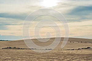 Yellow sand in the desert, Vietnam