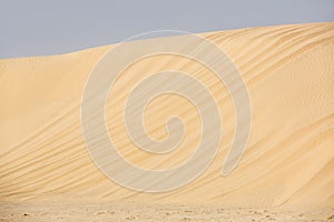 Yellow sand dune in the desert closeup