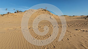 A yellow sand dune in the Gobi Desert with Mongolia written on it.