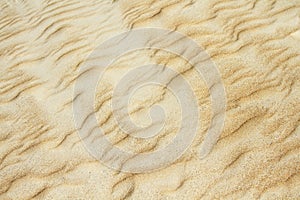 Yellow sand dune texture