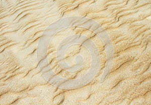 Yellow sand dune texture