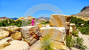 Yellow Sandstone Blocks in Red Rock Canyon National Conservation Area near Las Vegas, Neva