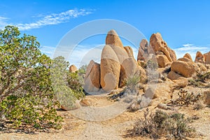 Yellow sandstone formations at the Skull Rock Area.Joshua Tree National Park.California.USA