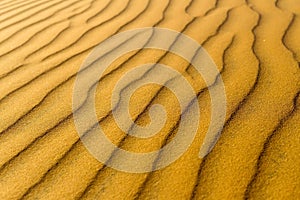 Yellow sandy wavy dunes texture