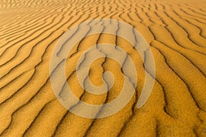 Yellow sandy wavy dunes texture